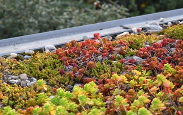 the cost of Elstead green roof installation